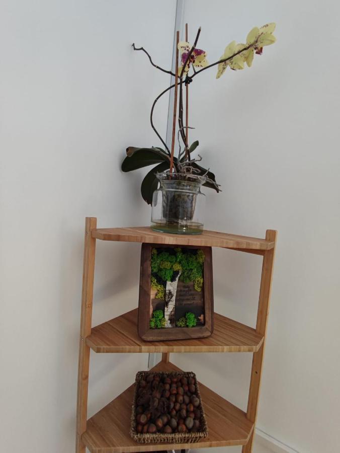 M K L Studio Alba Iulia Luaran gambar
