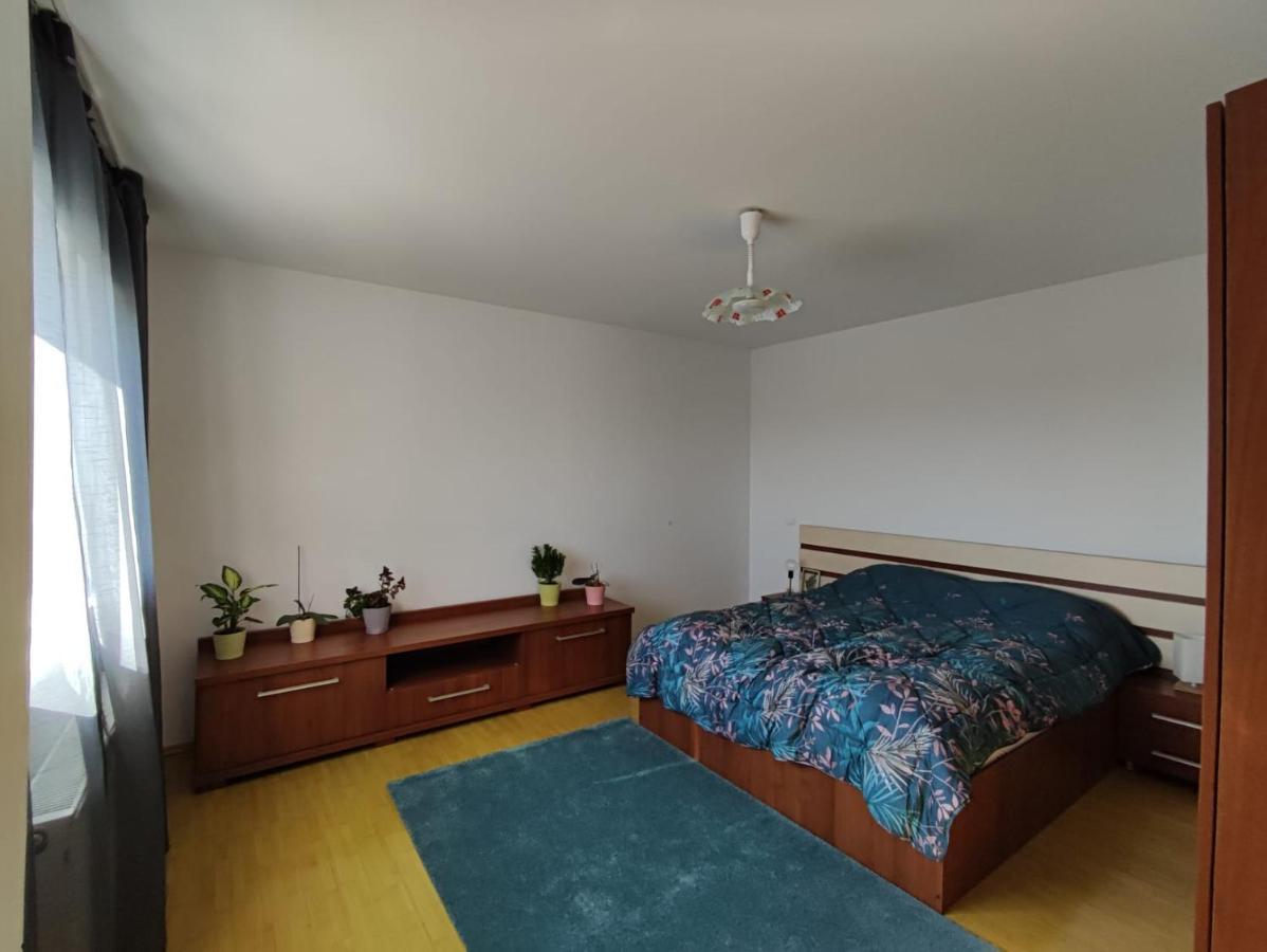 M K L Studio Alba Iulia Luaran gambar